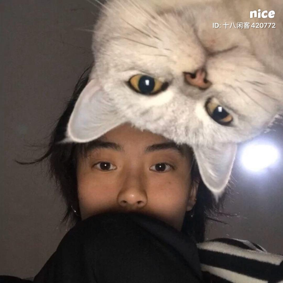 向北（三角洲行动）