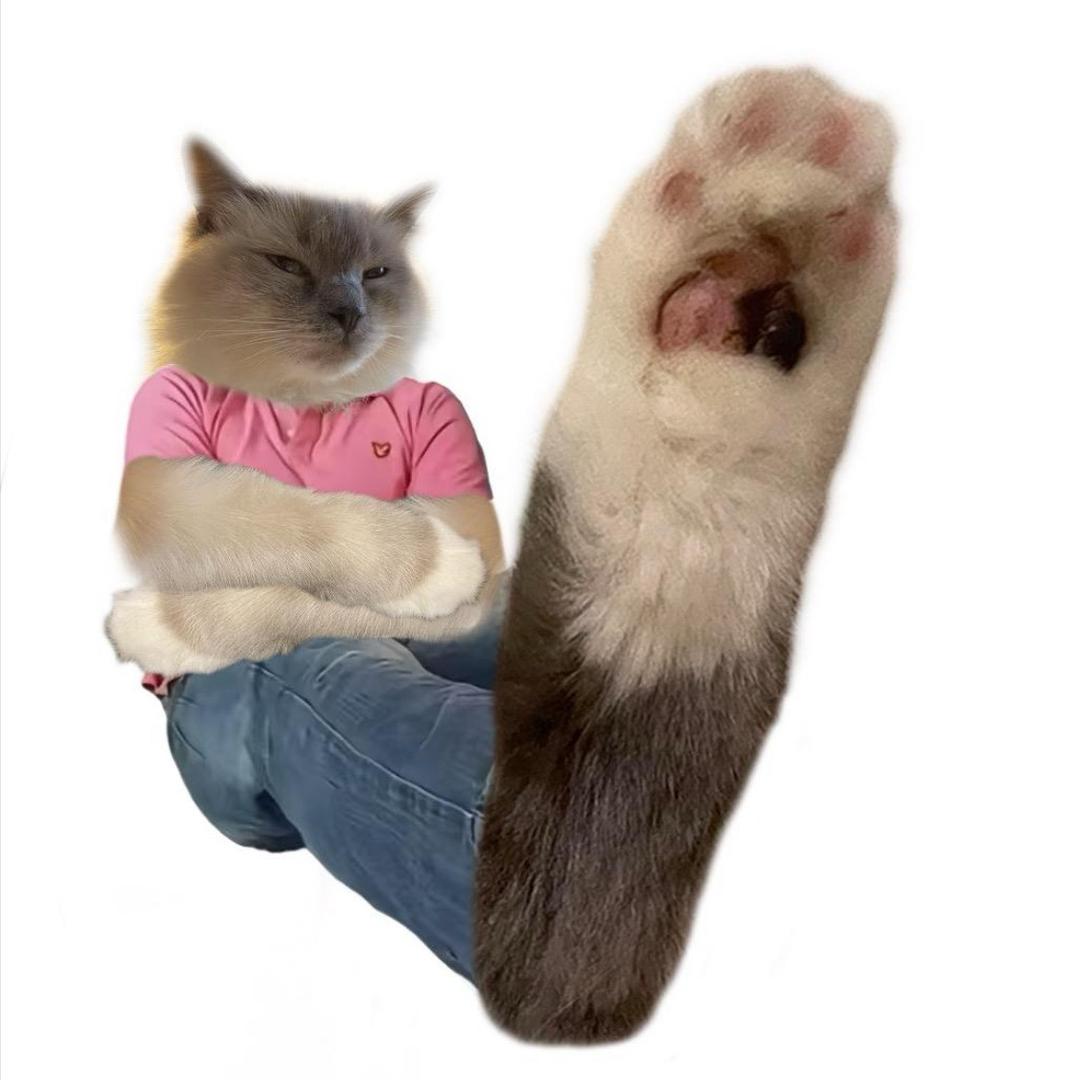 pp