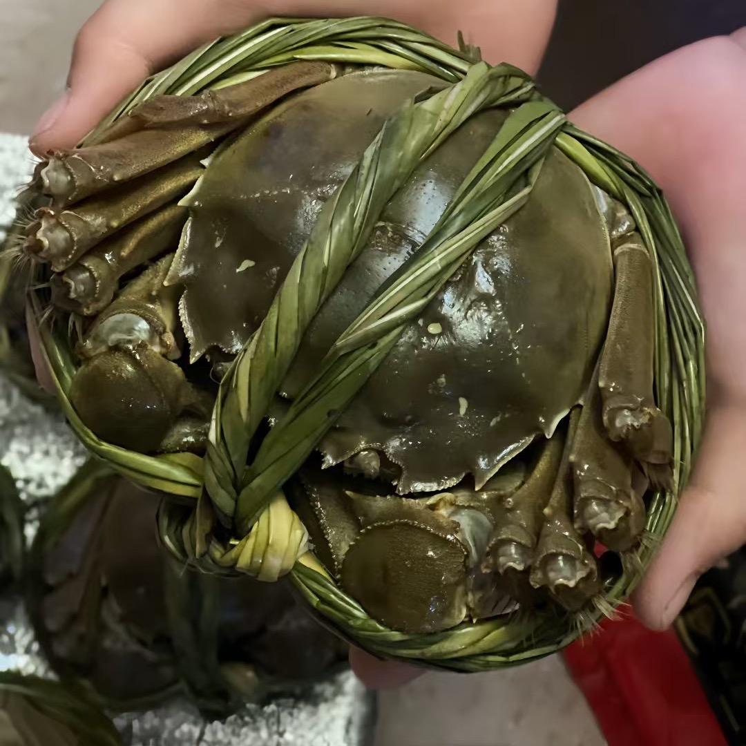 王小姐兴化大闸蟹