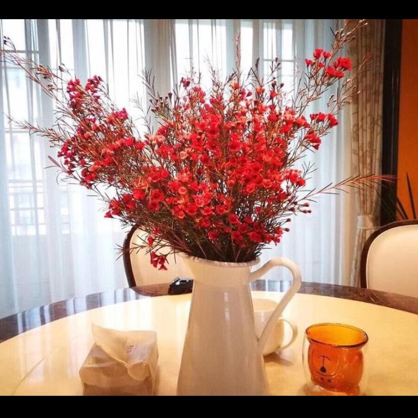美丽芬芳
