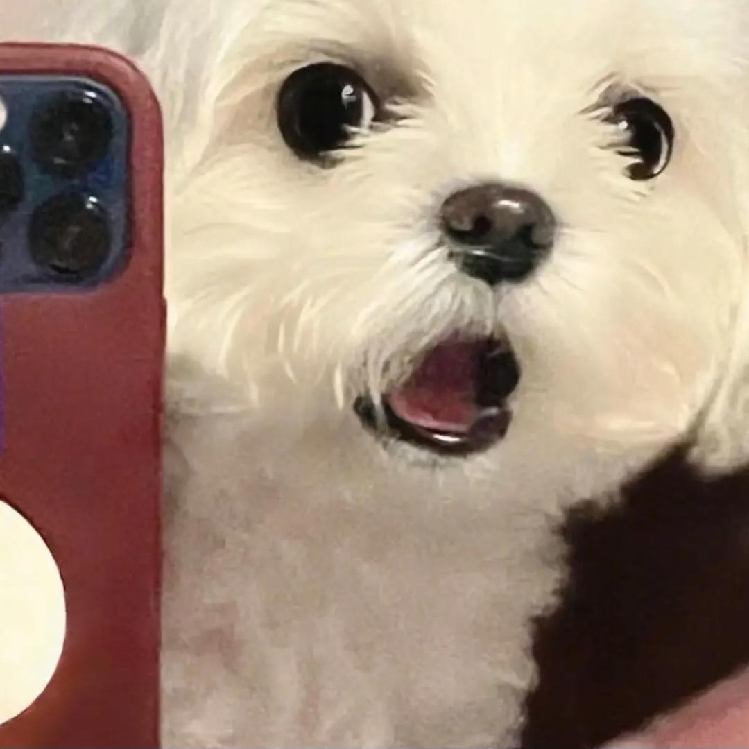 我忘记写名字了