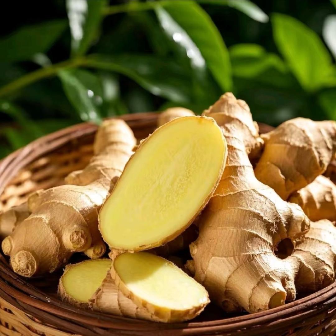 平舆县益农惠生姜种植服务中心