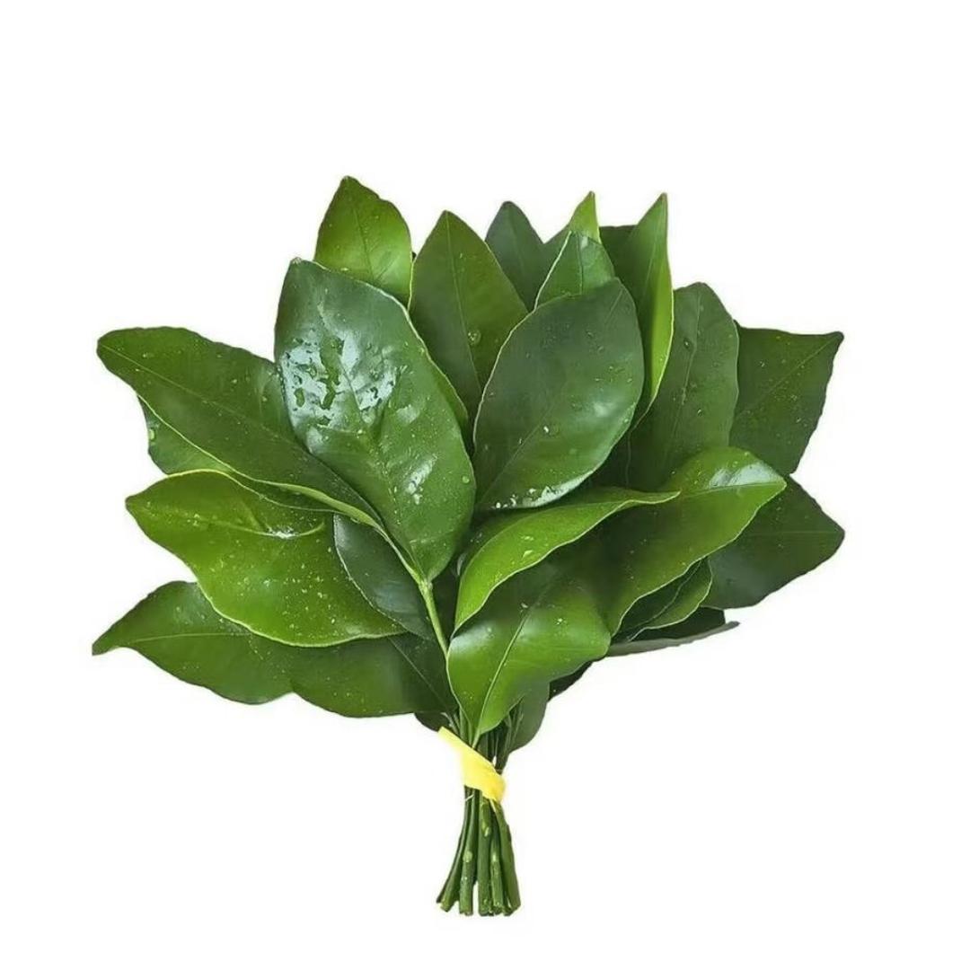 阿尢