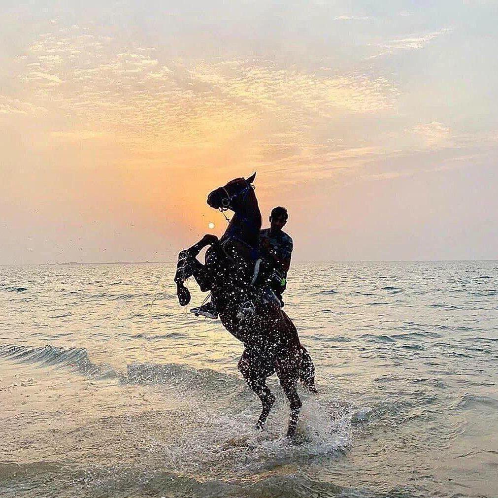 🌈陈子文