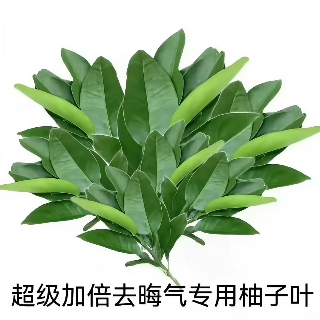 阿米豆腐 我佛糍粑