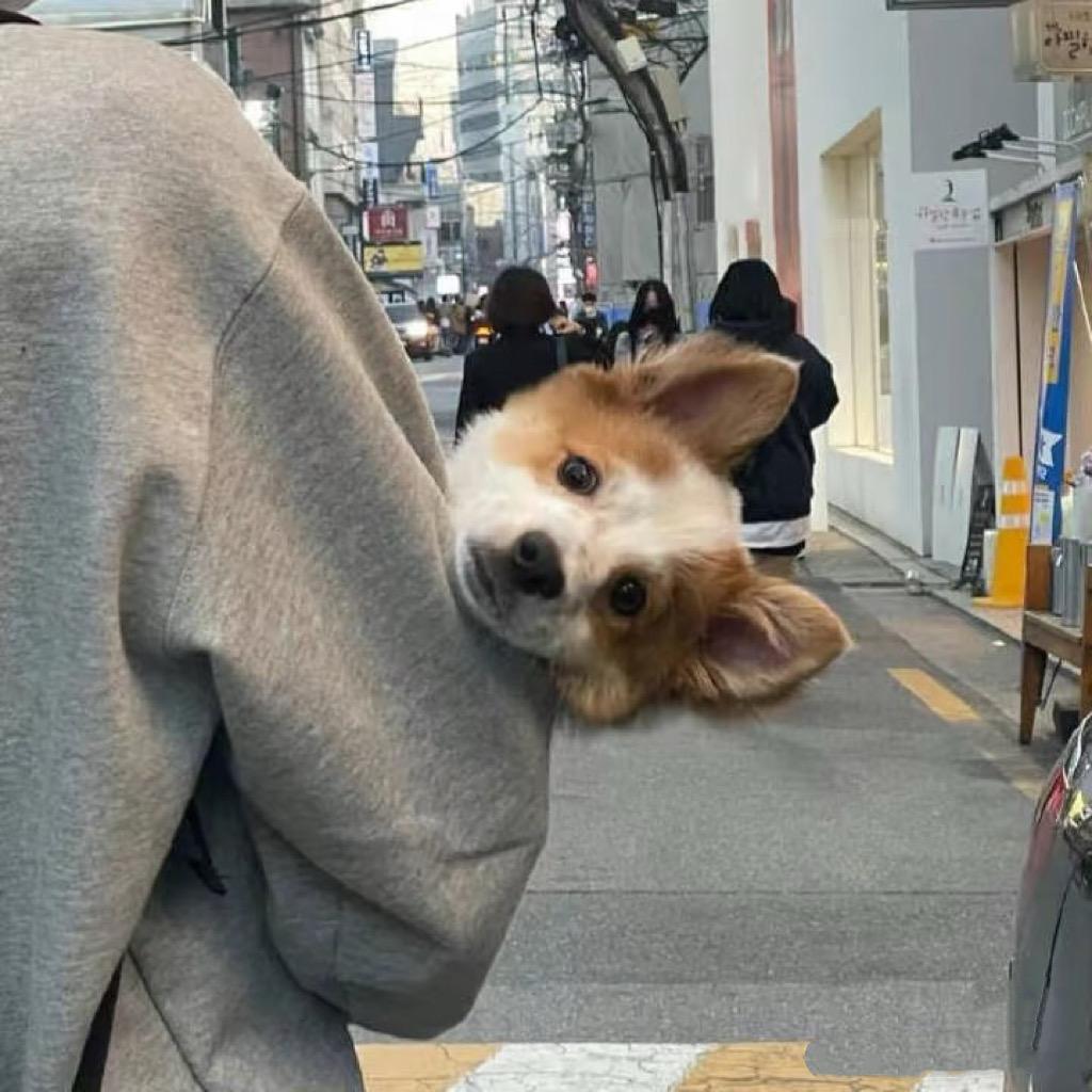一宅