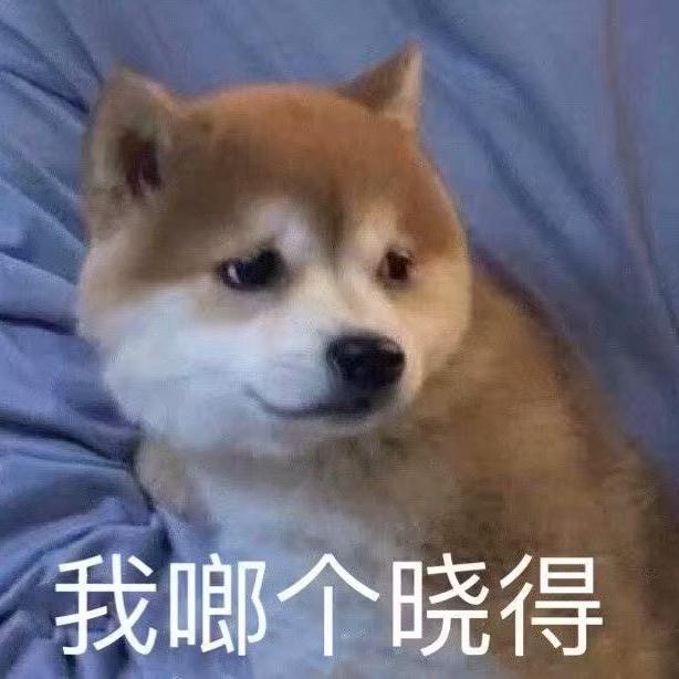 蓝莓泡泡吃饭的神