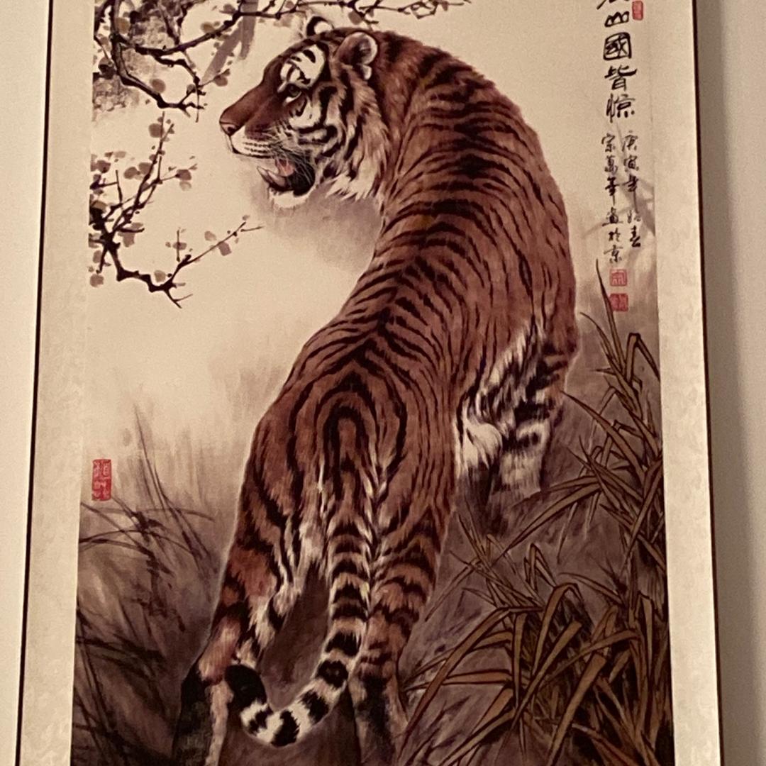 豺舅