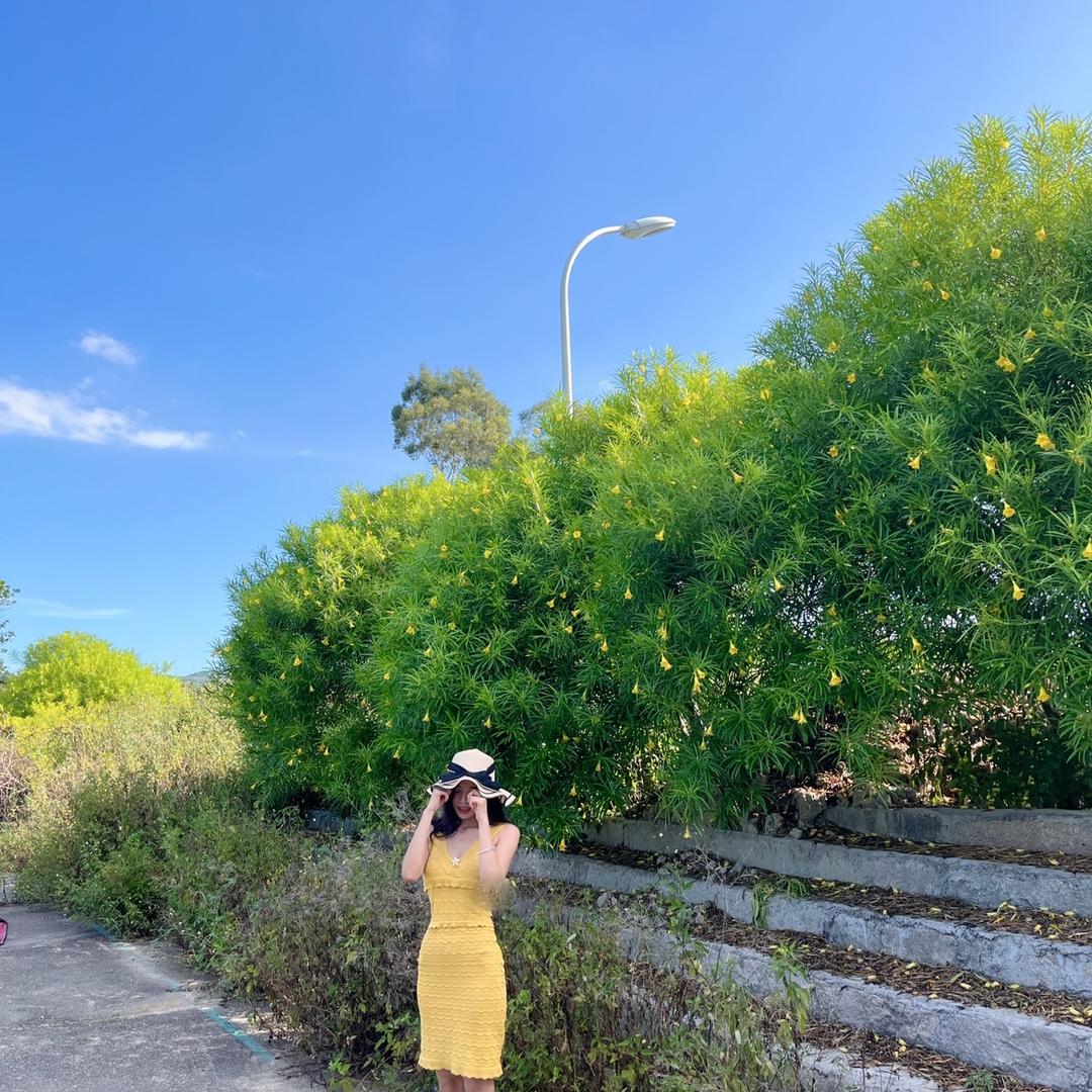 戴姑娘路亚（游鱼得水）
