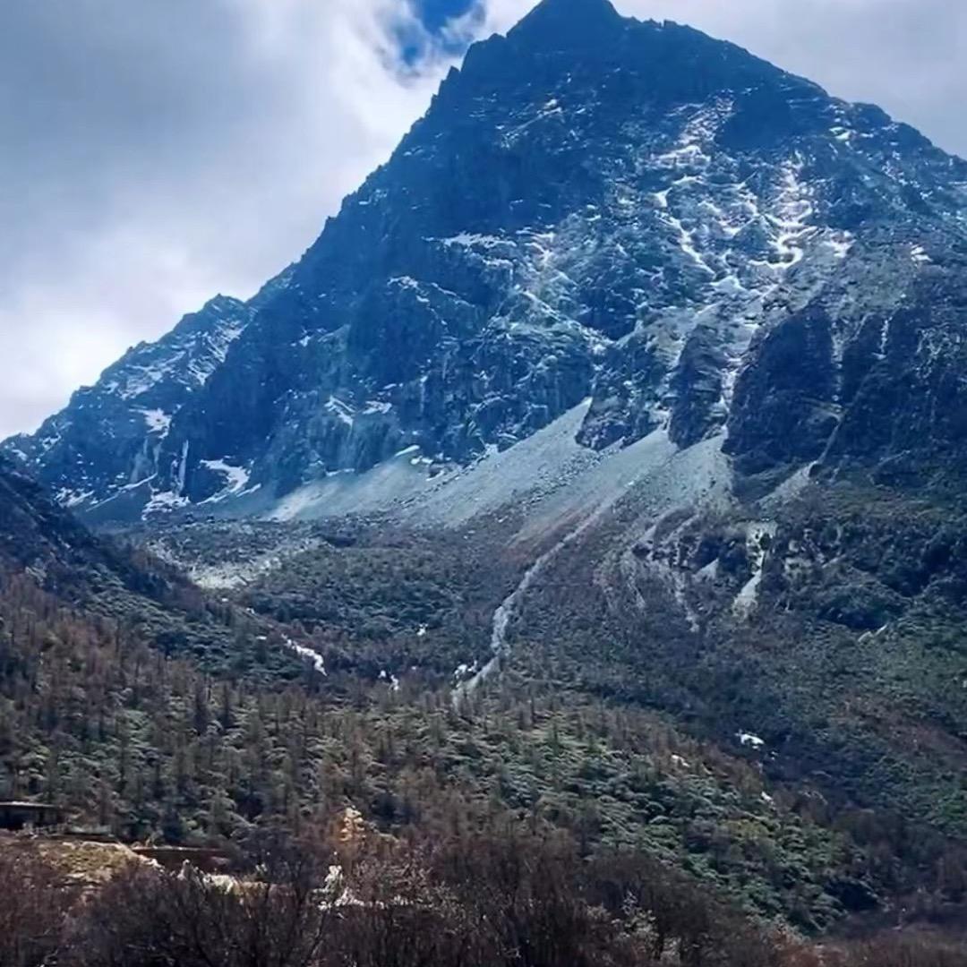 🌈一生不变( ･᷄ὢ･᷅ )怪我咯