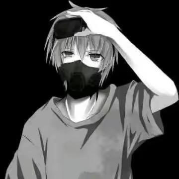 杭州蝴蝶运营