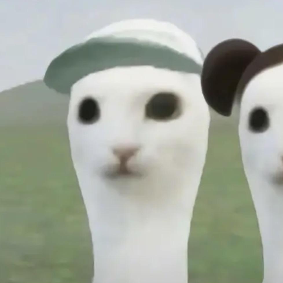 冲鸭少侠