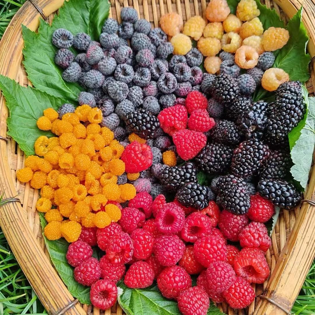 红河仟年酒庄有限公司