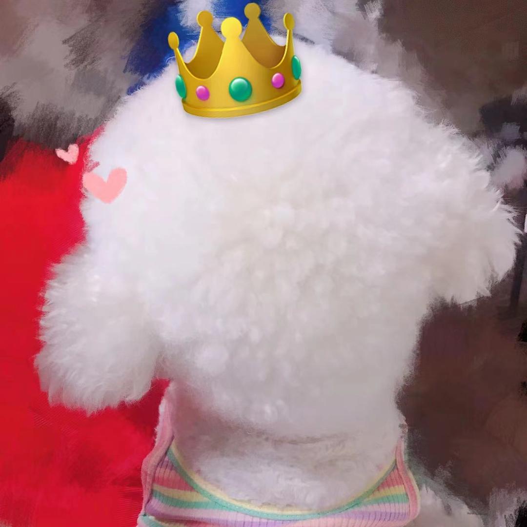 椰香可可