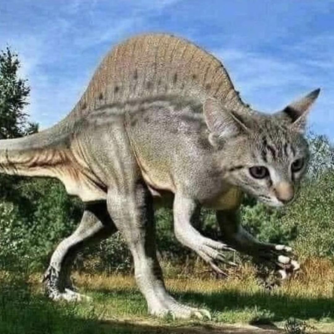 捧腹大笑的酸菜鱼