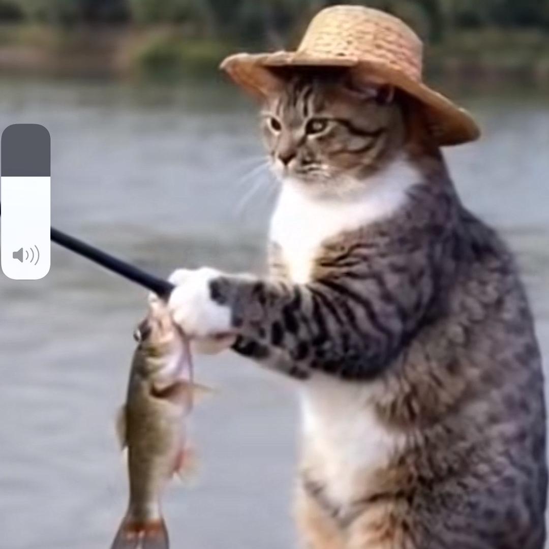 黑哥🎣