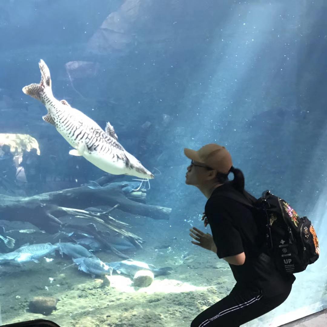 拾光予物