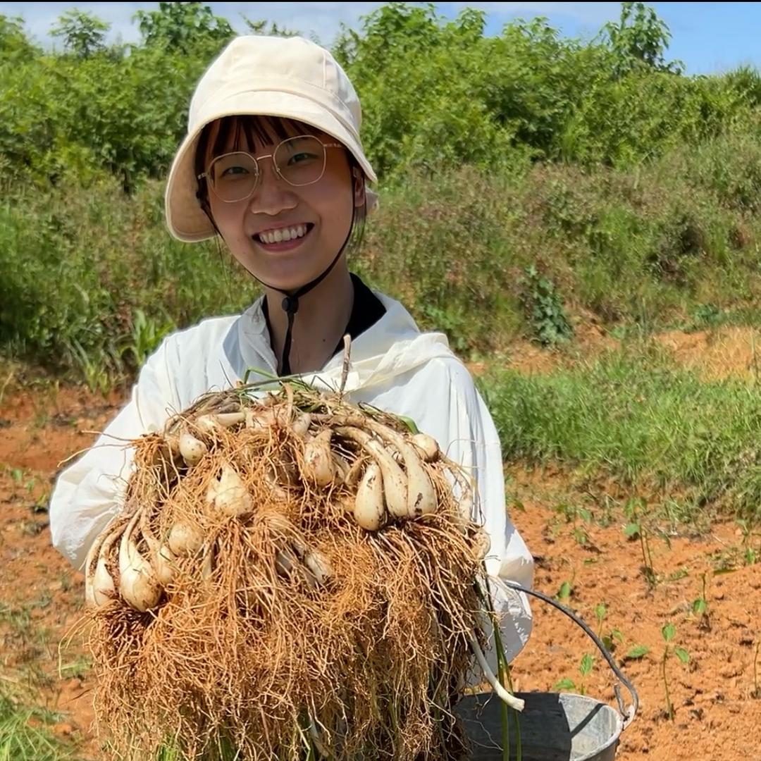 小宇生鲜农产品