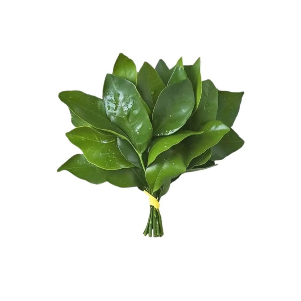 苏沐錦