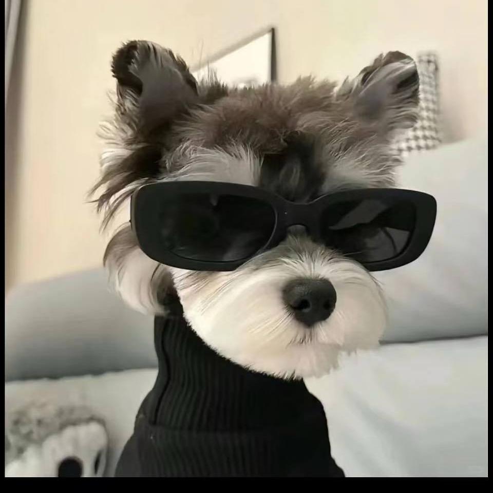 白昼（无畏契约）