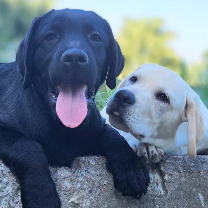 劉嘉玲（+0）@抖音