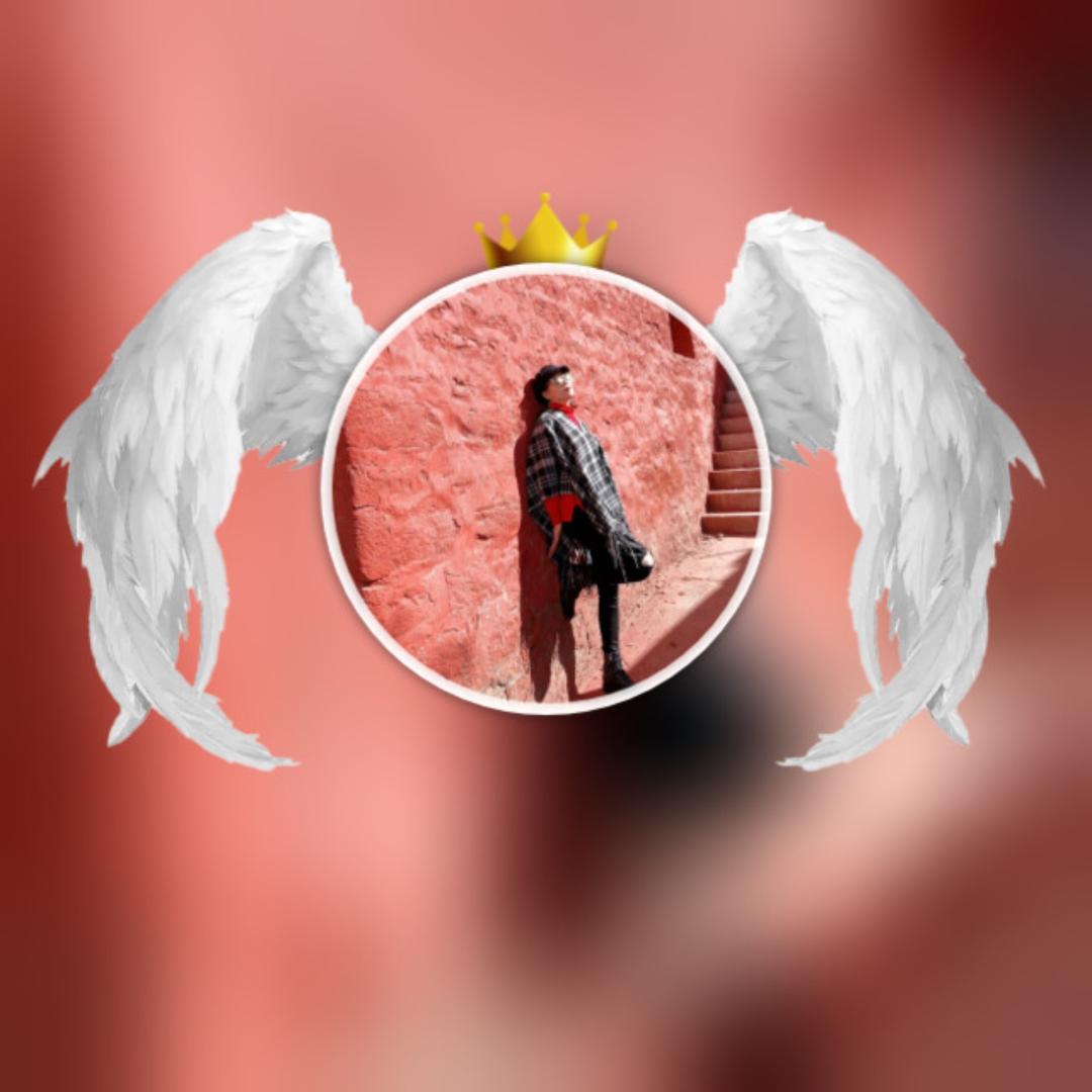 郑三妹🌹