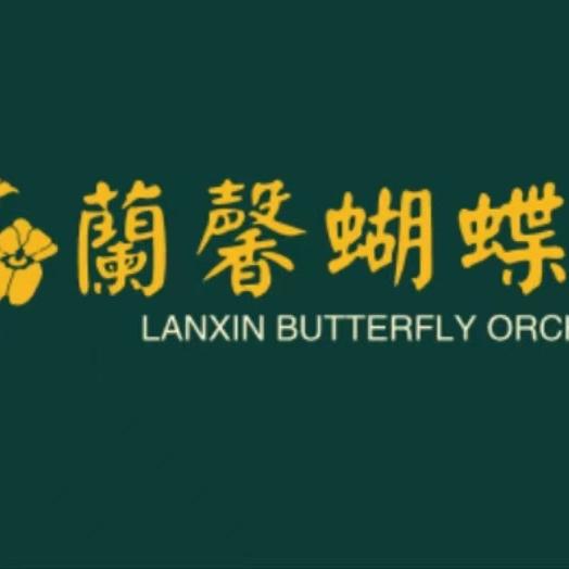 兰馨园艺