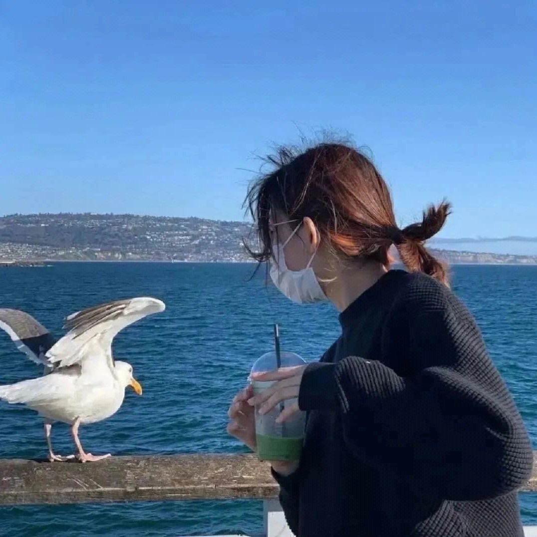 菜菜呀！