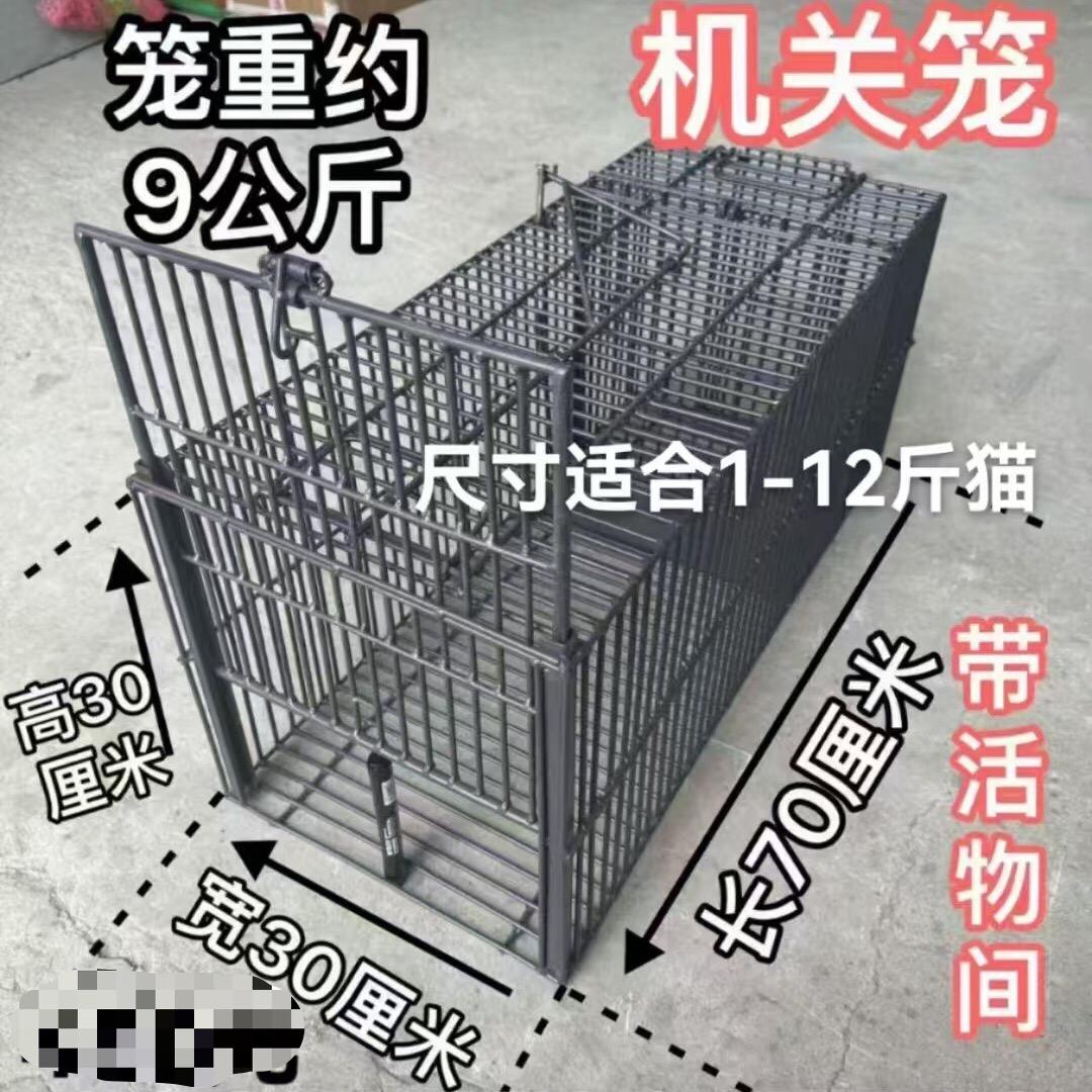 钢筋的手艺人