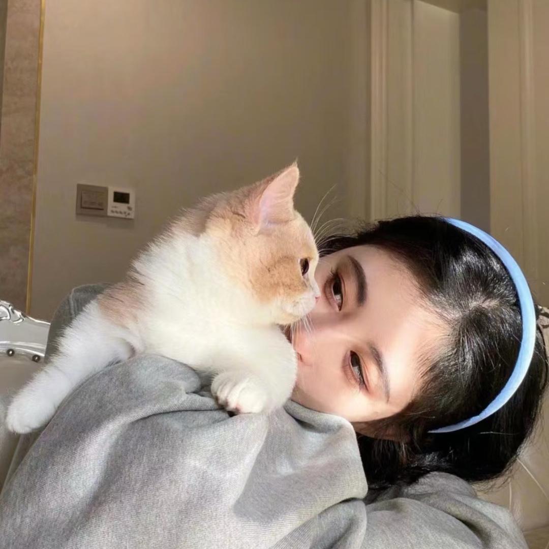 🥕🐾