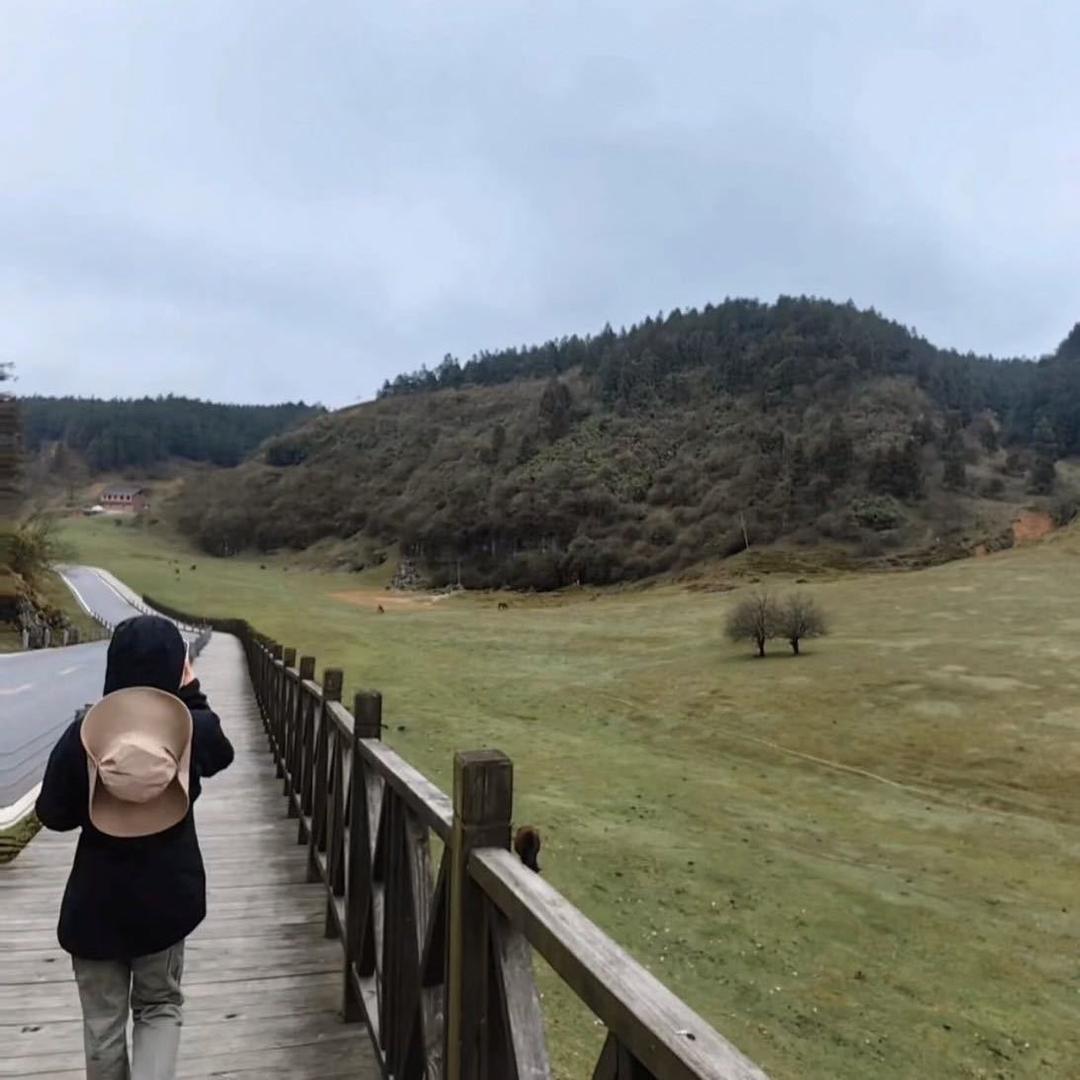 喜欢青枫的宋希