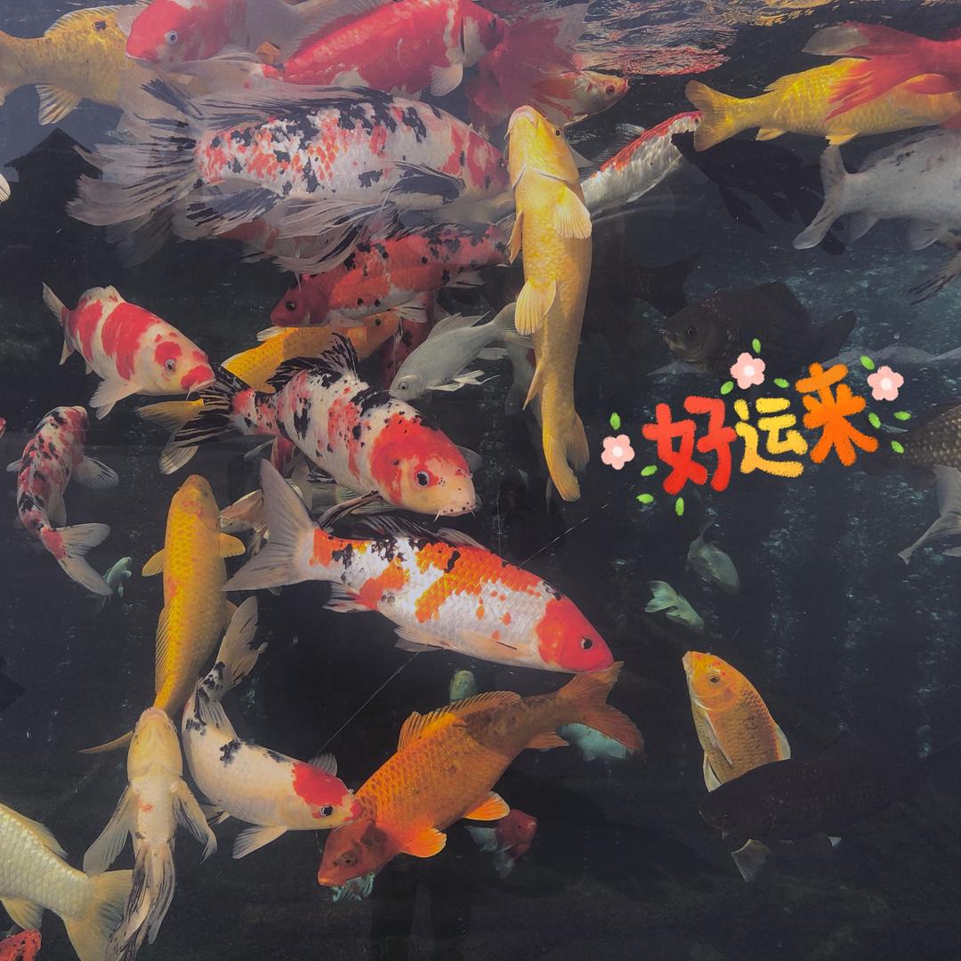 记得填写昵称啊