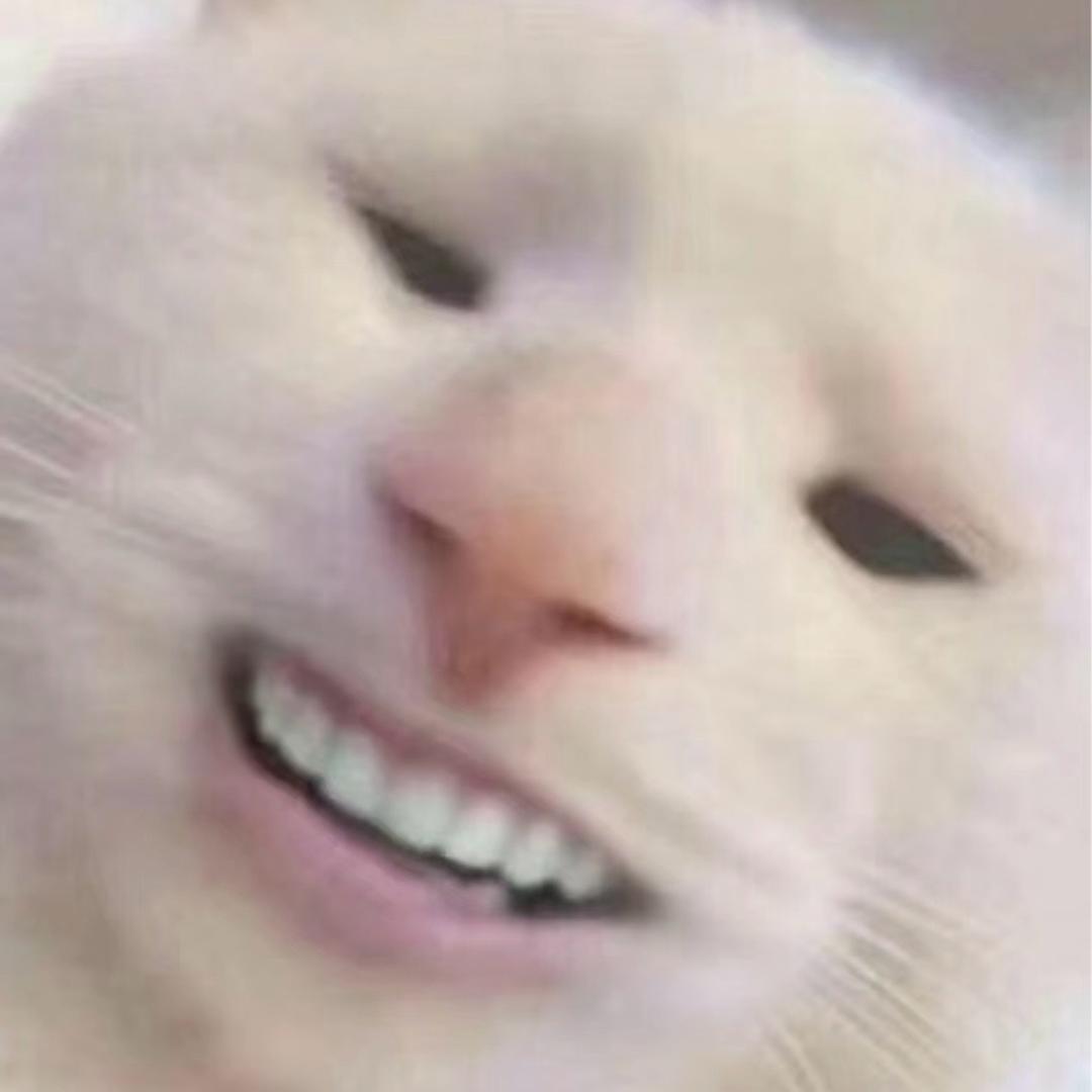 有鱼