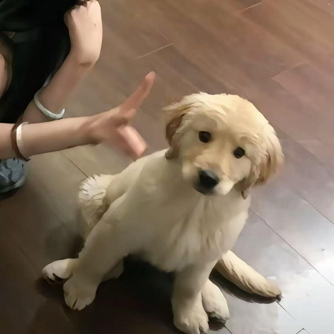 现在在下小宇