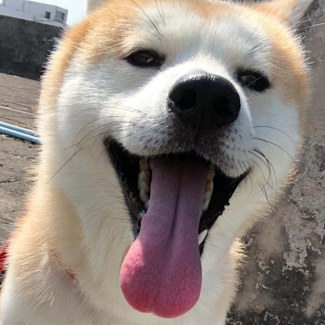 笑笑多吃点-