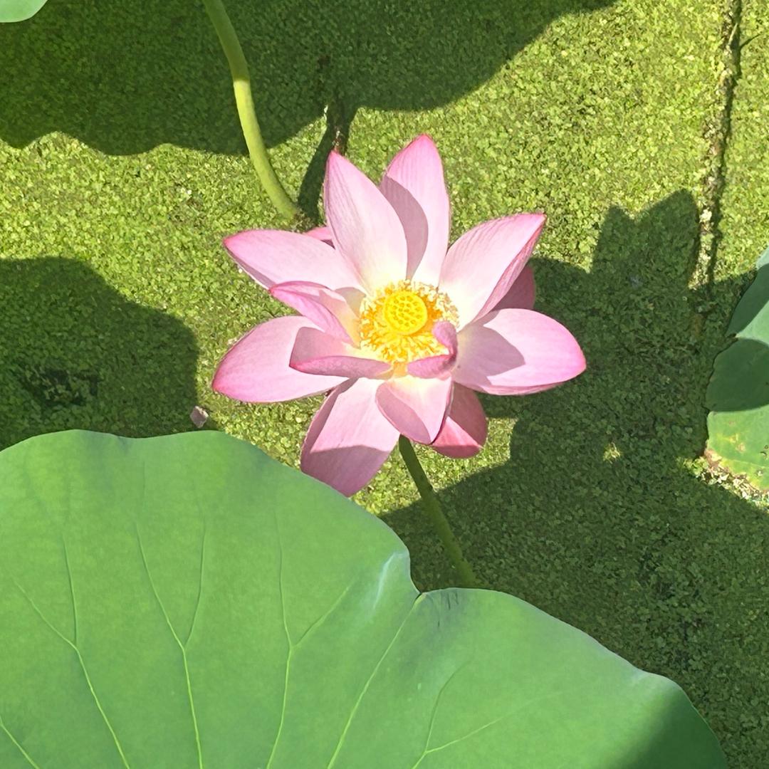 涅槃重生