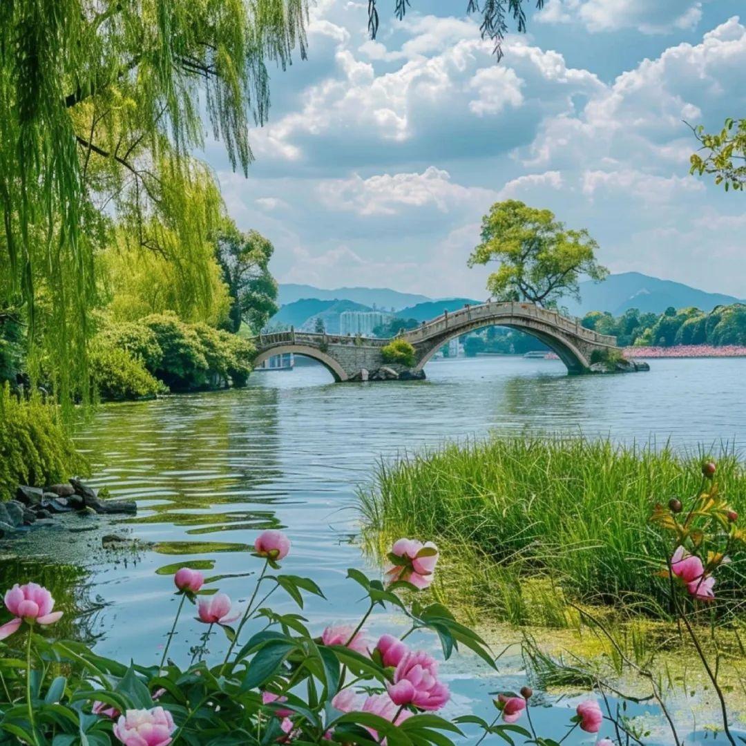 半夏轻浅