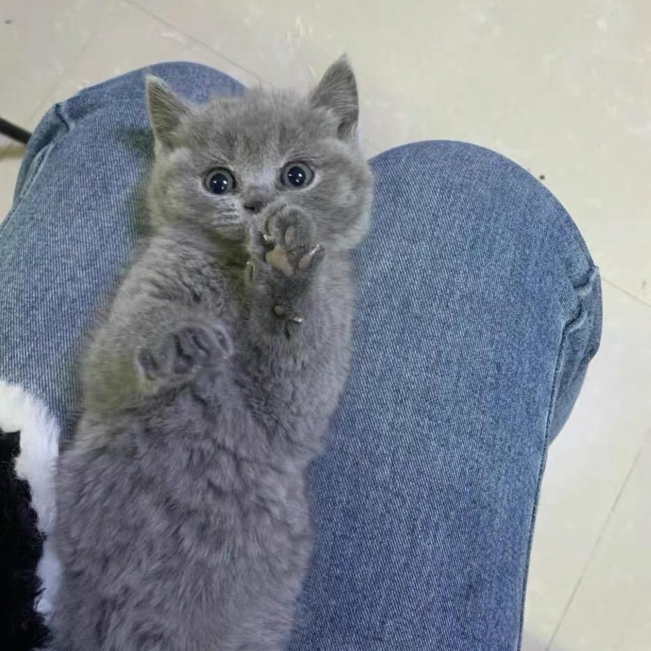 韩穗穗🌾的年年岁岁