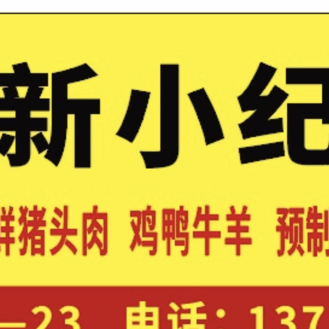 新小纪