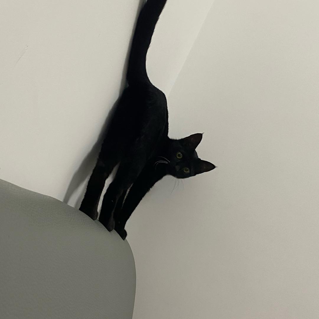 小空