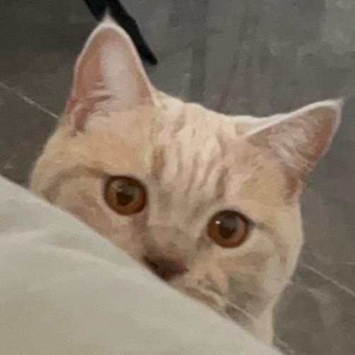 鸡屎藤少爷的管家