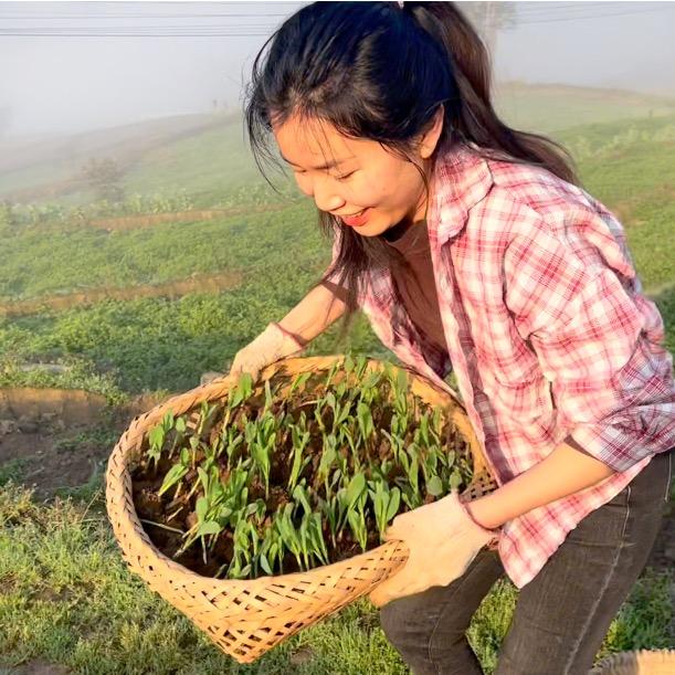 闲不住的袁幺妹儿
