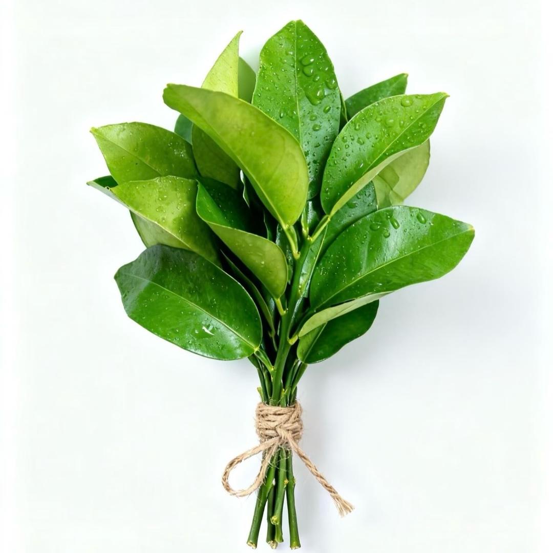 j2K*pQ%xL@z8#Rf5!sT&