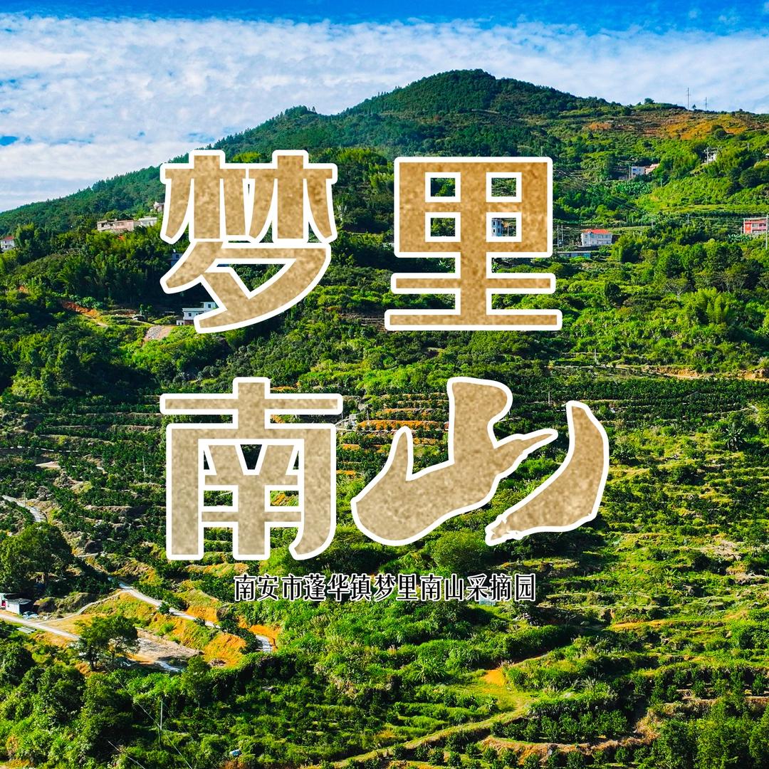 梦里南山采摘园官方号