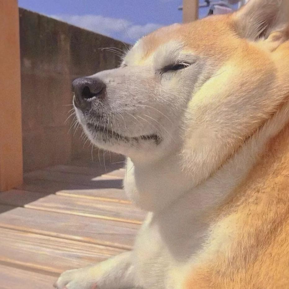姐夫