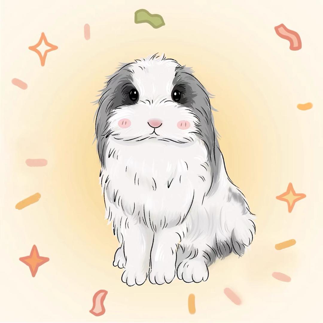 小兔营销号