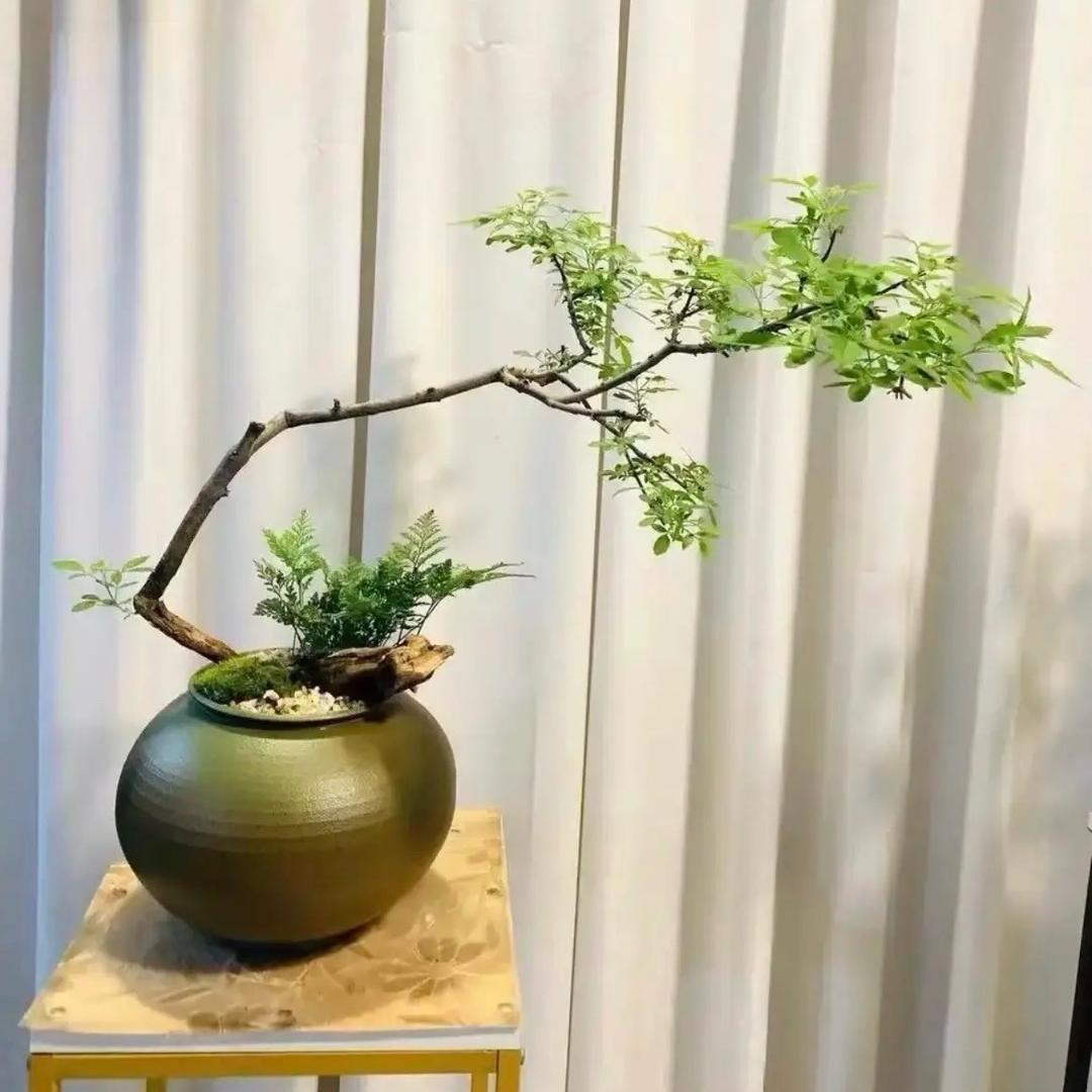 黄荆小筑