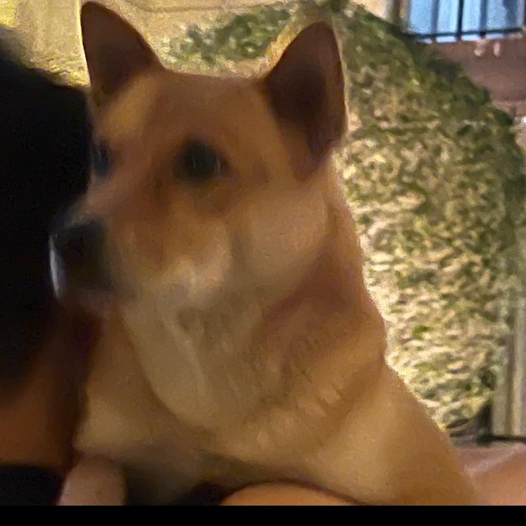 章旭杰