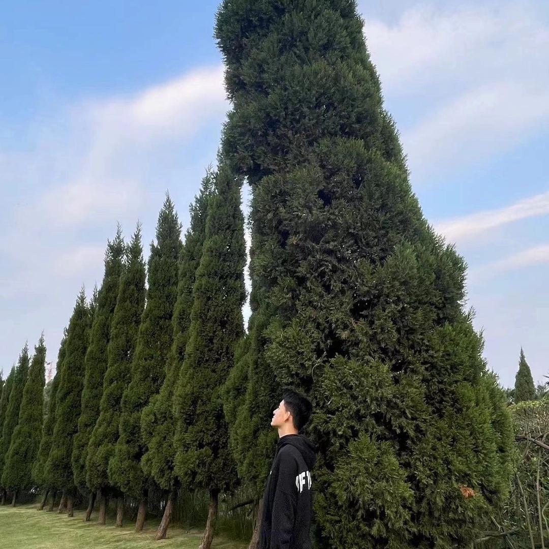 Jason·Zhou