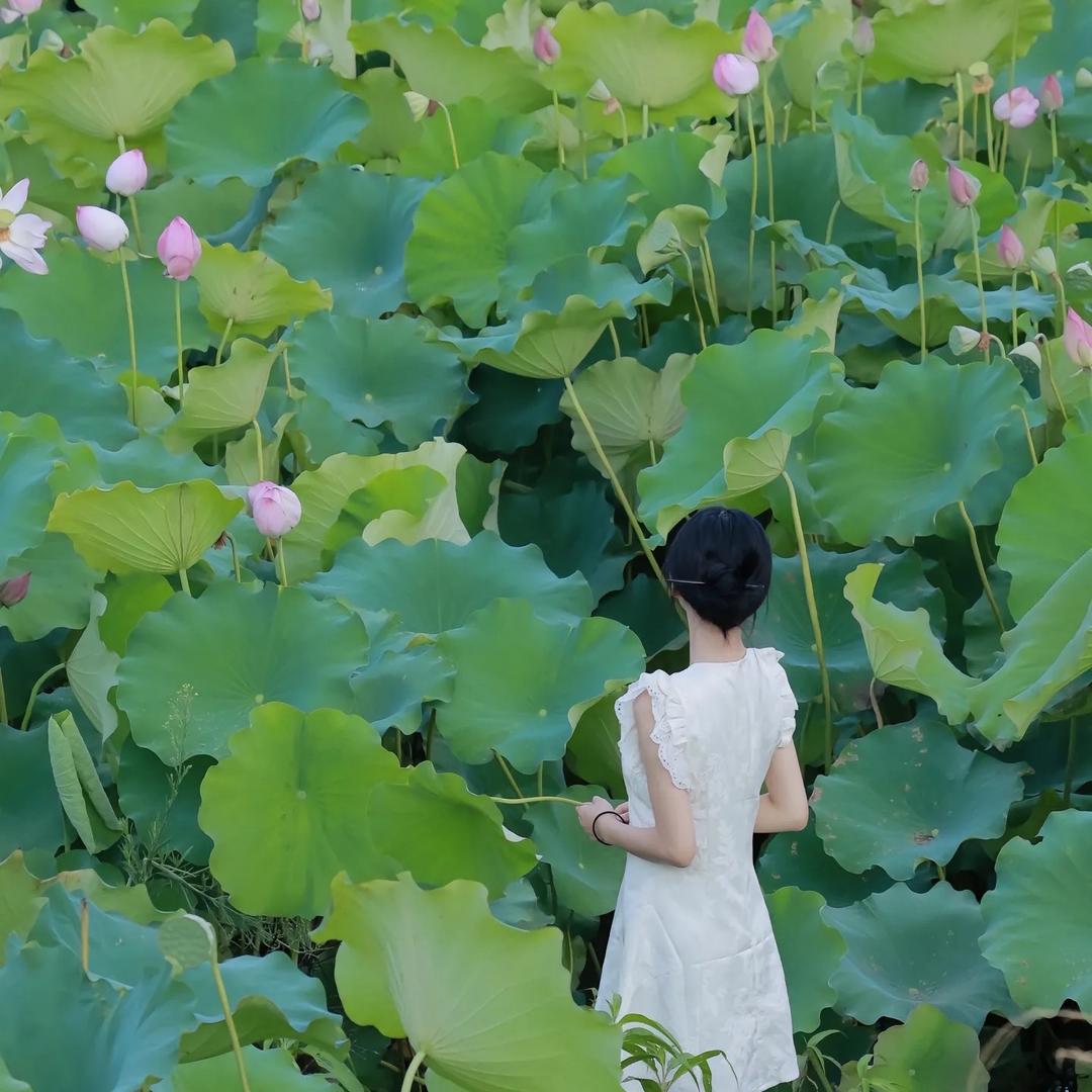 小张